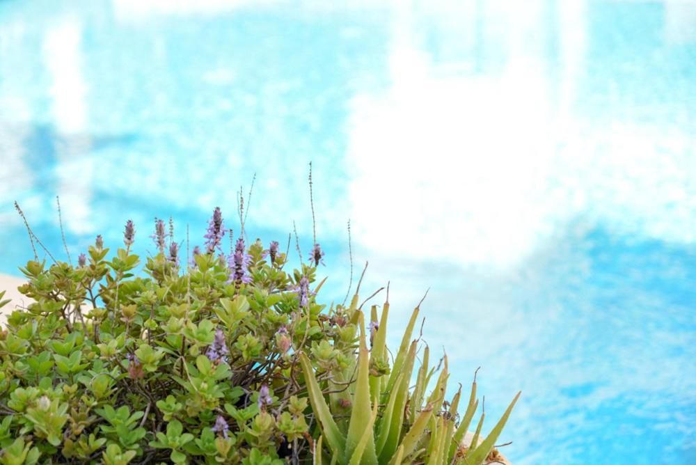 Daire Royal Seacrest а203 Sea View Pafos
