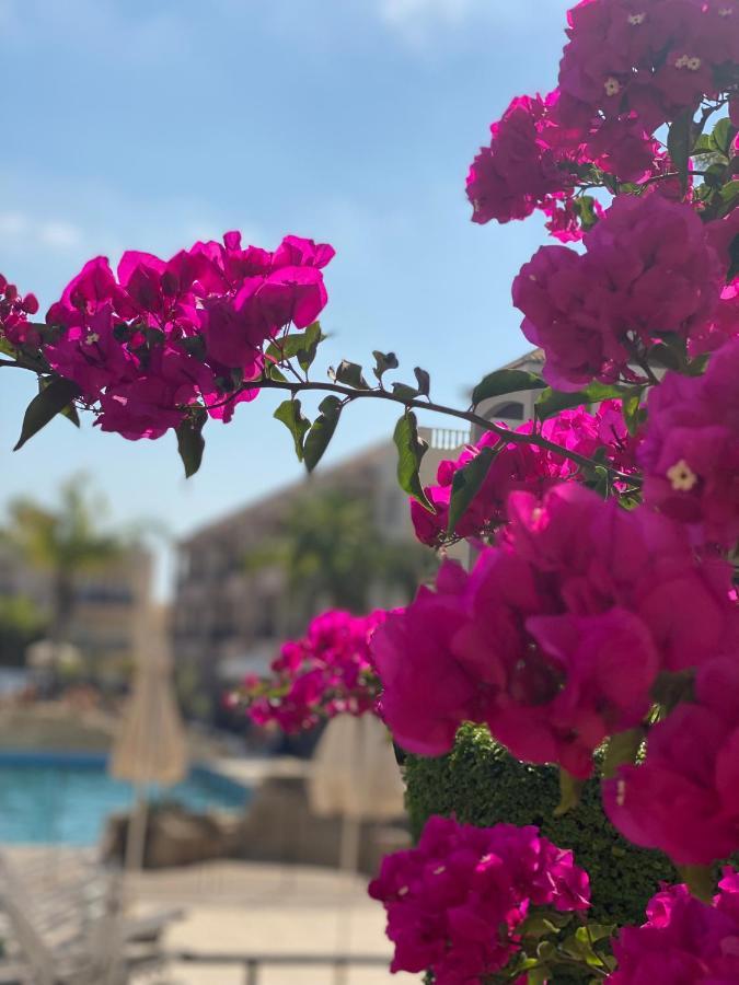 Daire Royal Seacrest а203 Sea View Pafos